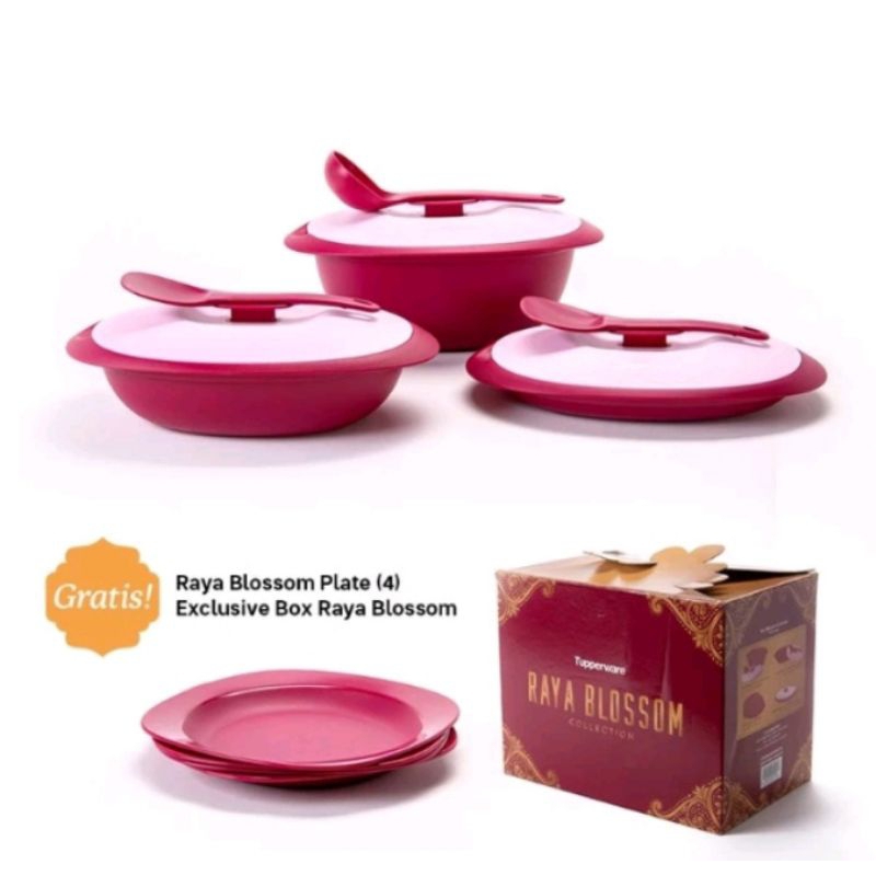 

PROMO Tuperware 6pcs Blossom Collection Set Raya Blossom Gourmet Servers Wadah Saji