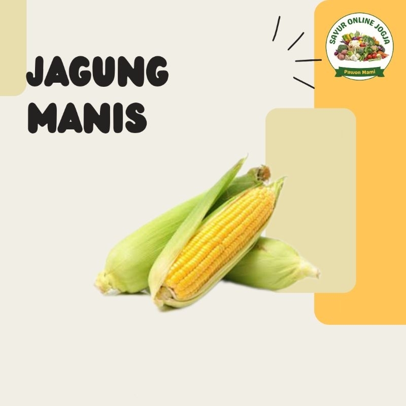 

Jagung manis 1 pcs - PAWON MAMI SAYUR ONLINE JOGJA