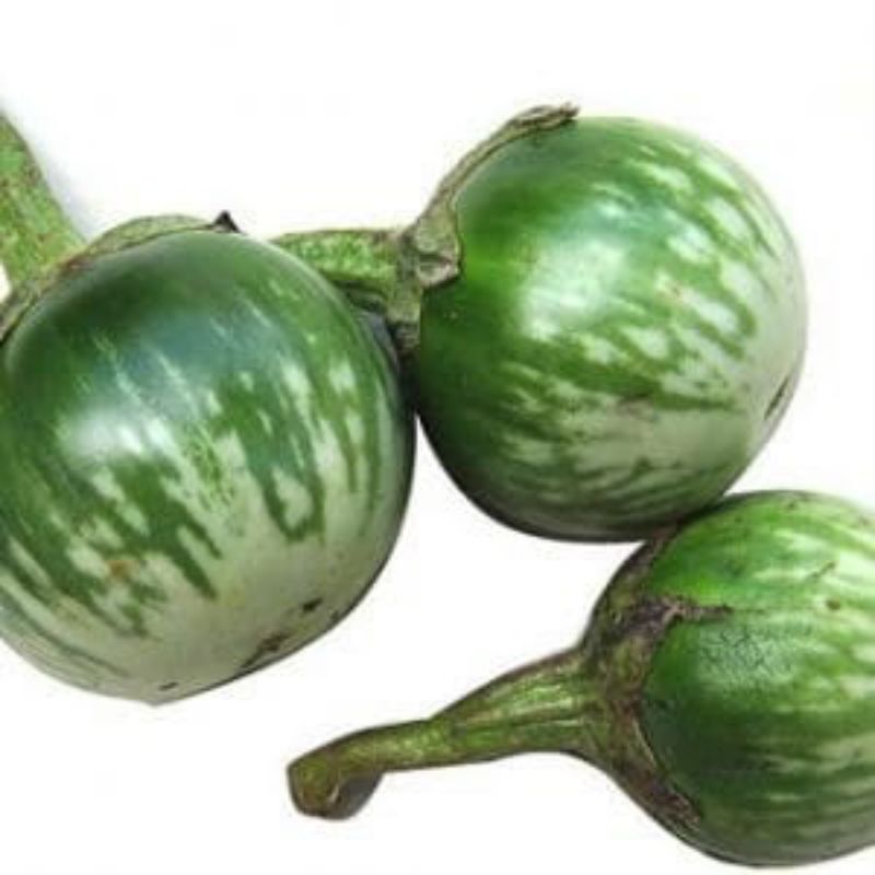 

terong lalap / terong bulat 500gr