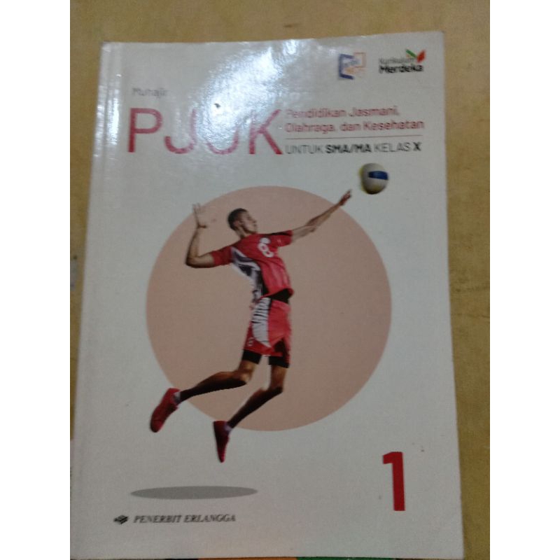 pjok sma  kelas 10 sma erlangga kurikulum merdeka
