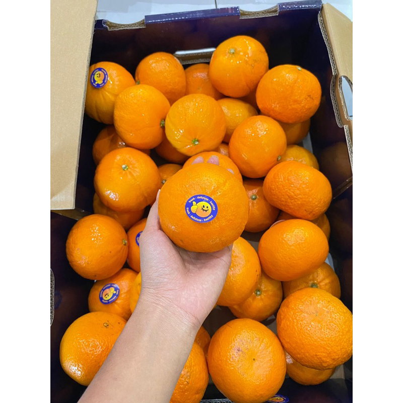 

buah jeruk wogan / wokam yuji mandarin 900-1000gr manis