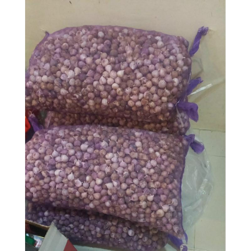 

Bawang Putih tunggal 500gr - 1000gr