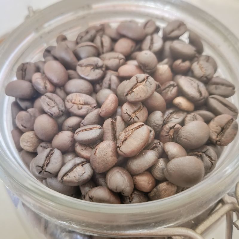 

Kopi Palomba Robusta Aceh Gayo