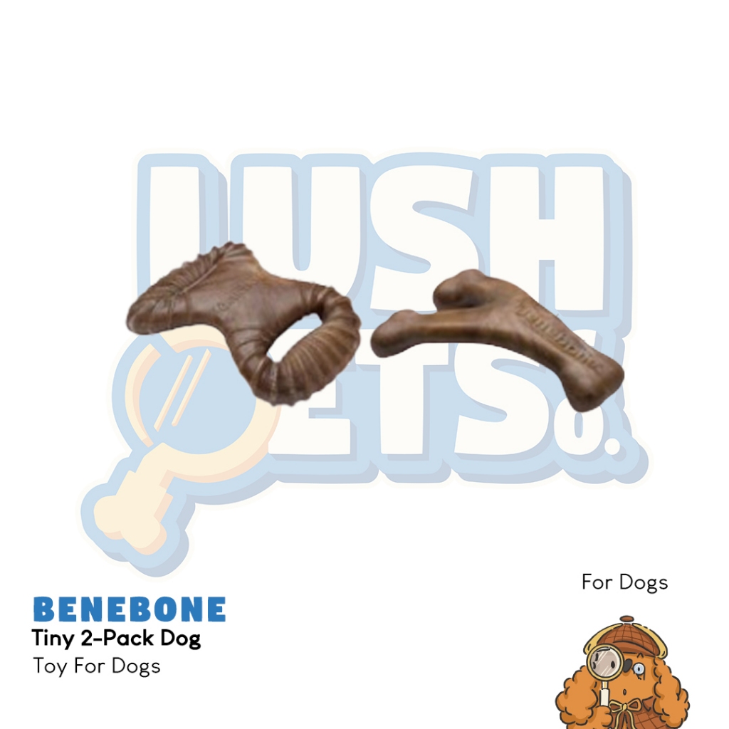 

Benebone Tiny 2-Pack