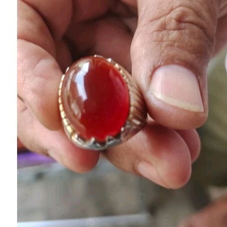 batu akik cempaka madu