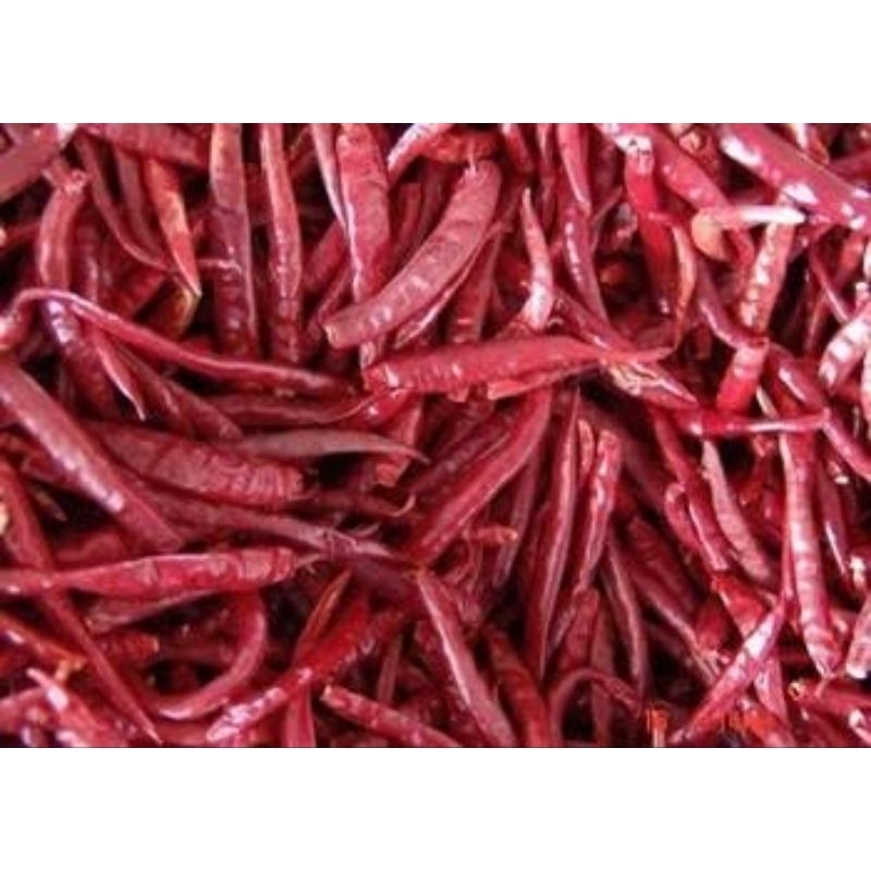 

Cabe kering Teja/Rawit india karungan berat ±10kg
