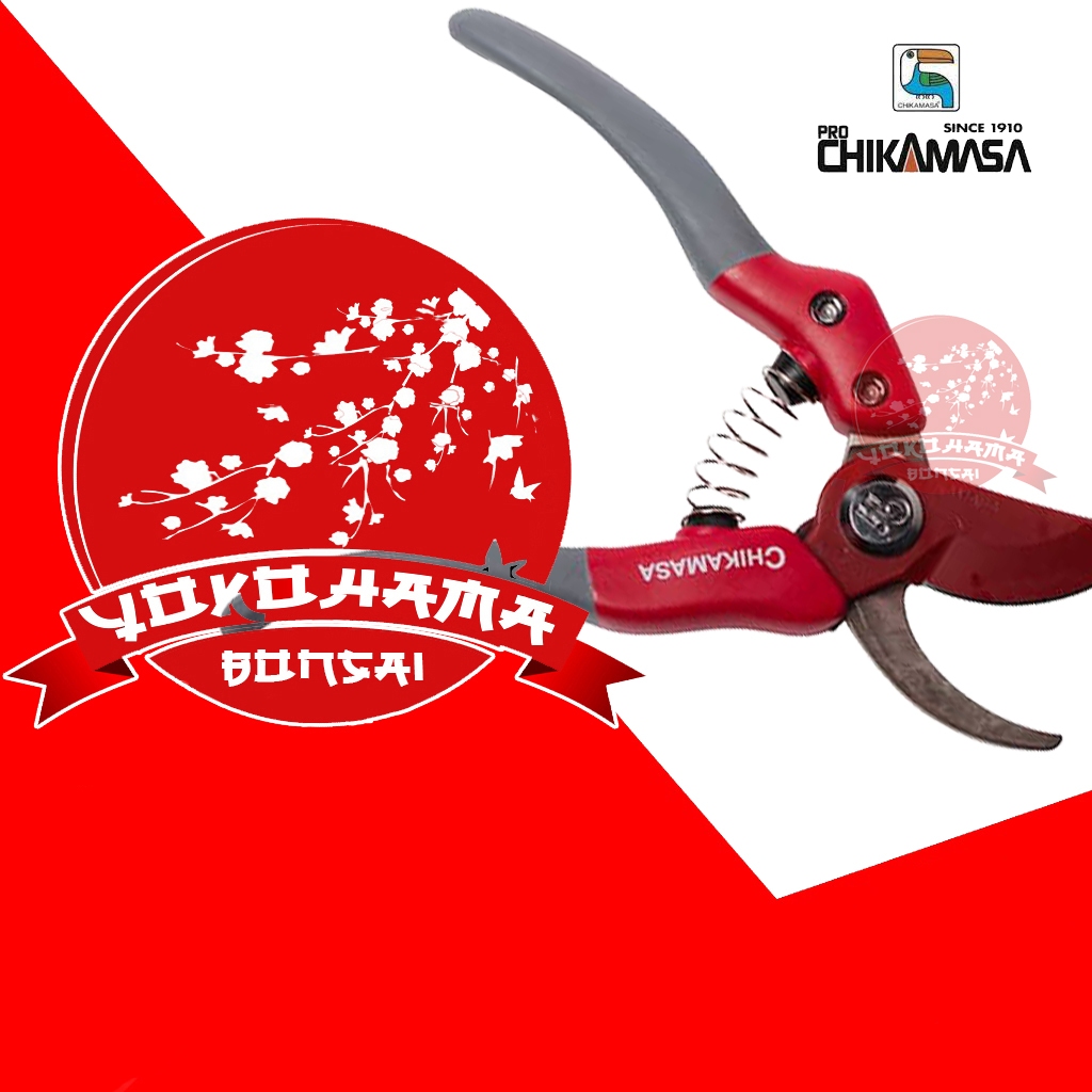 YOKOHAMA BONSAI-ALAT BONSAI GUNTING CHIKAMASA PS G8