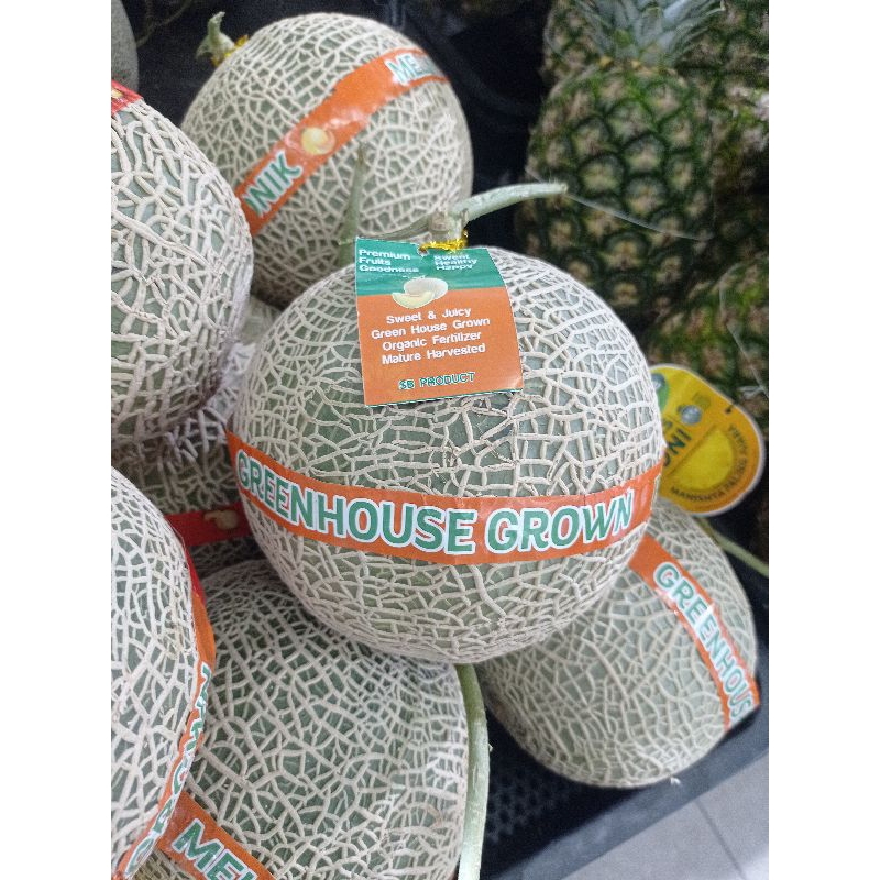 

Melon Kimoji kimochi manis lembut 1.7 kg
