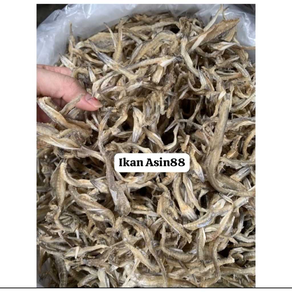 

Ikan Asin Siting tiau lomek 500gram / Siting kua Lumi Bagan khas sinaboy sinaboi kecil / jambrong batang wangi