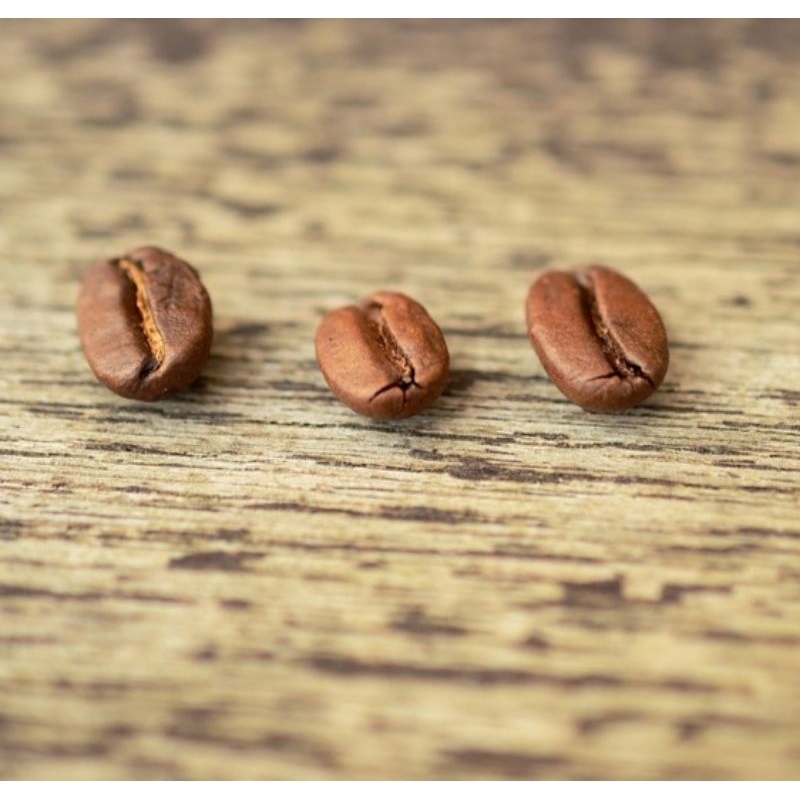 

roas Bean Arabika