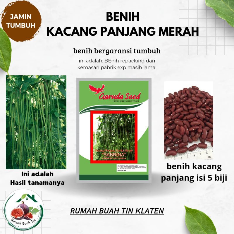 BENIH KACANG PANJANG MERAH