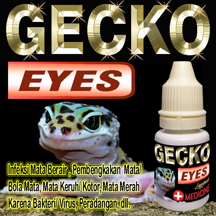 GECKO EYES OBAT MATA REPTILE LEOPARD GEKO BERAIR MERAH INFEKSI PERADANGAN BENGKAK KATARAK OBAT TETES