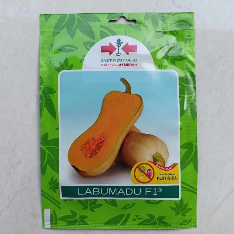 Benih Butternut Labu Madu F1 isi 10 biji