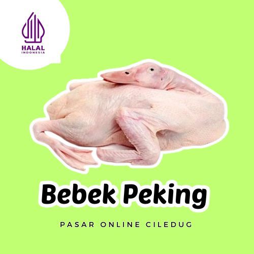 

Bebek Karkas Peking Uk 0.9 / Karkas Bebek Frozen