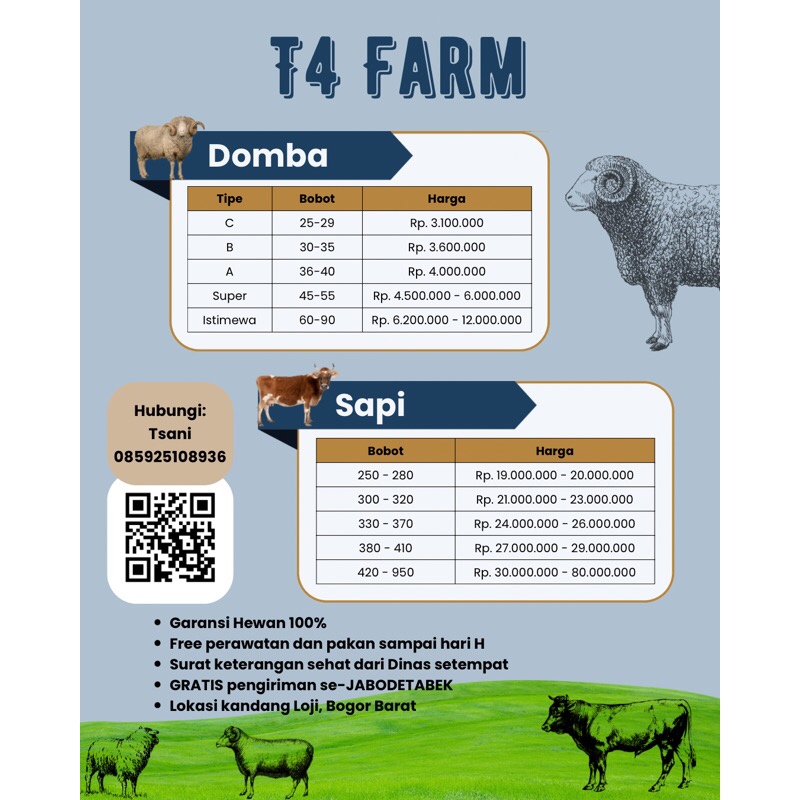 Kambing Domba Sapi Kurban Qurban