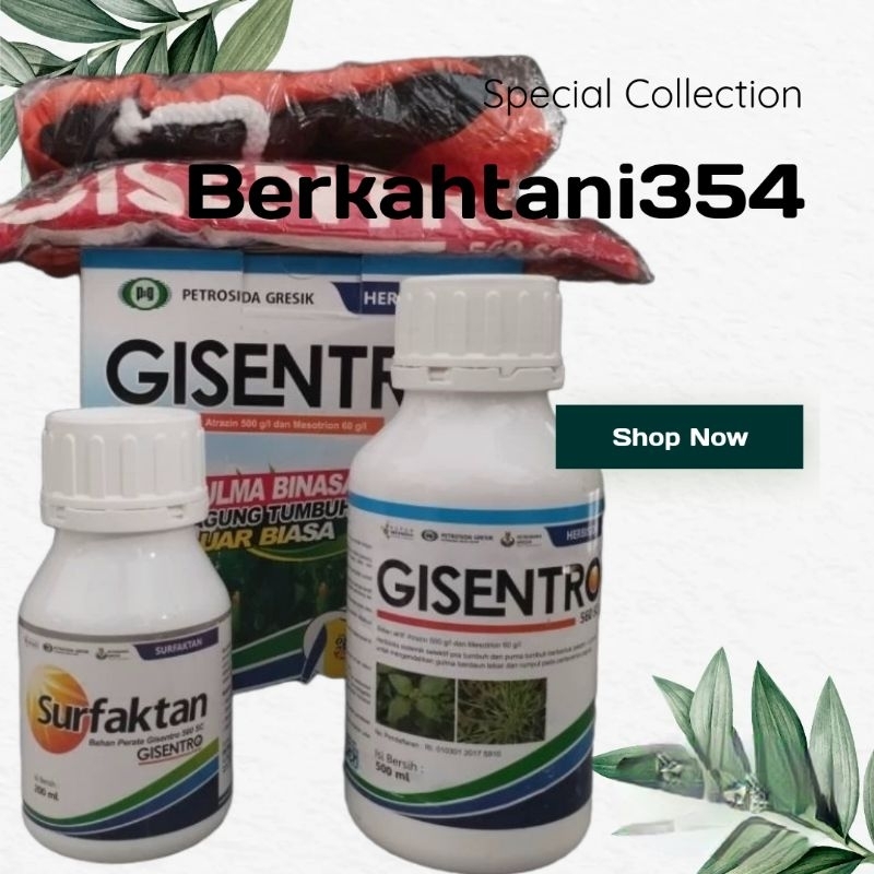Herbisida gisentro 500ml obat gulma jagung tanpa stres Gisentro 500ml