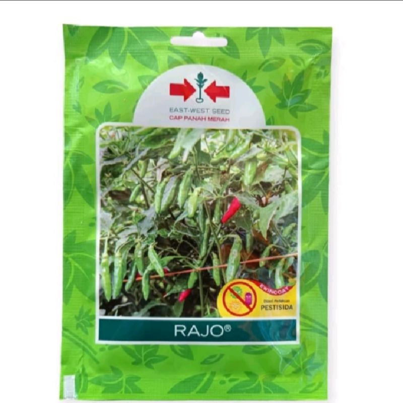 isi 350 butir benih bibit cabe rawit hijau Rajo