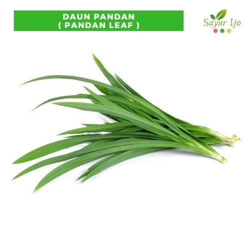 

Daun Pandan -/+ 230 - 250 Gram Fresh Pandan Leaf - Sayur Ijo Segar