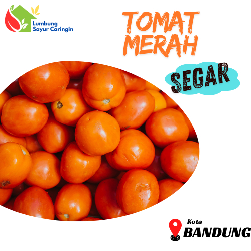 

Tomat Merah Segar Murah Bandung