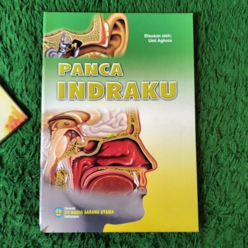 ORIGINAL BUKU PENGETAHUAN PANCA INDRAKU INDRA