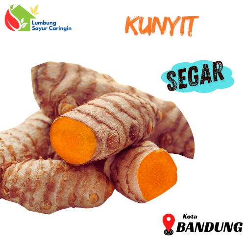 

Kunyit / Koneng Segar Bandung