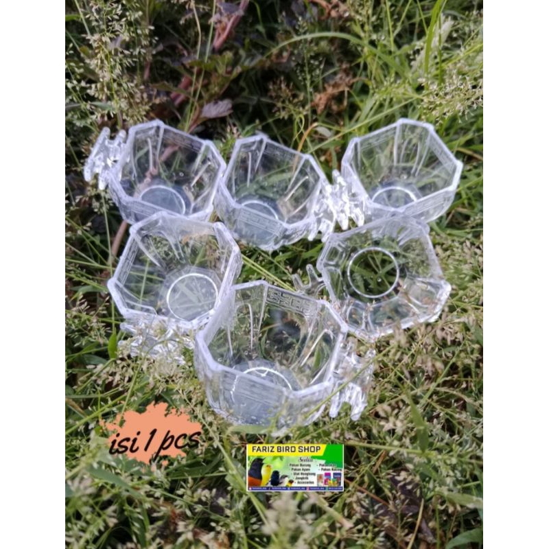 COD CEPUK SEGI 8 NO 5,CEPUK MAKANAN BURUNG KECIL KONIN, SOGON, PLECI, KOLIBRI, DAN BURUNG KECIL LAIN