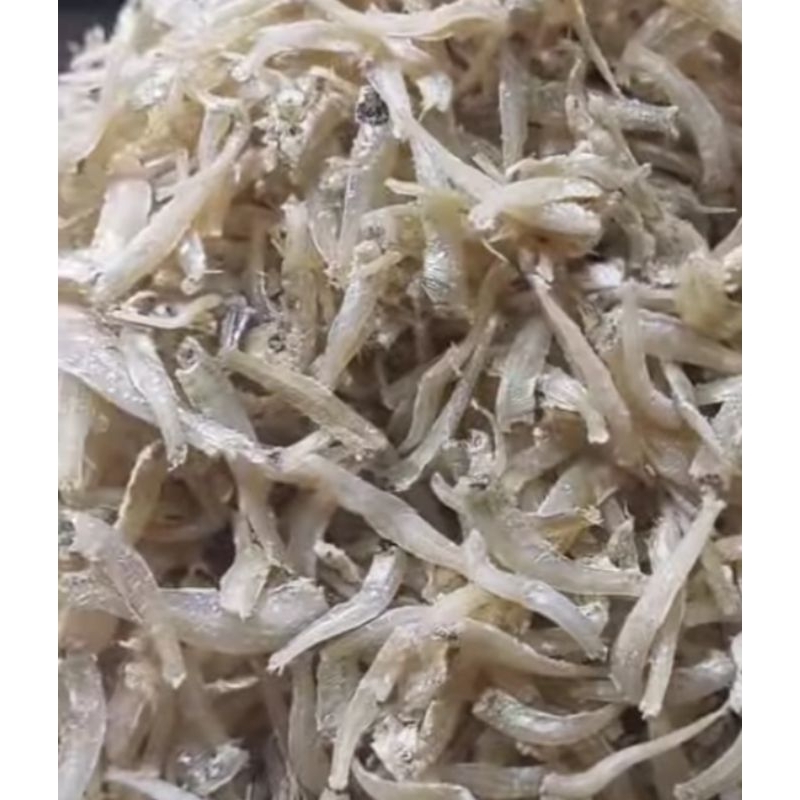 

Teri Mayang 500 gr ukuran sedang