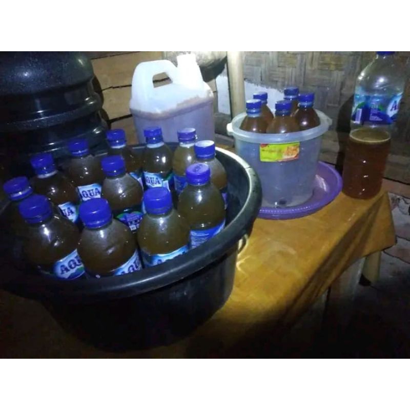 

madu Odeng hutan liar murni100%