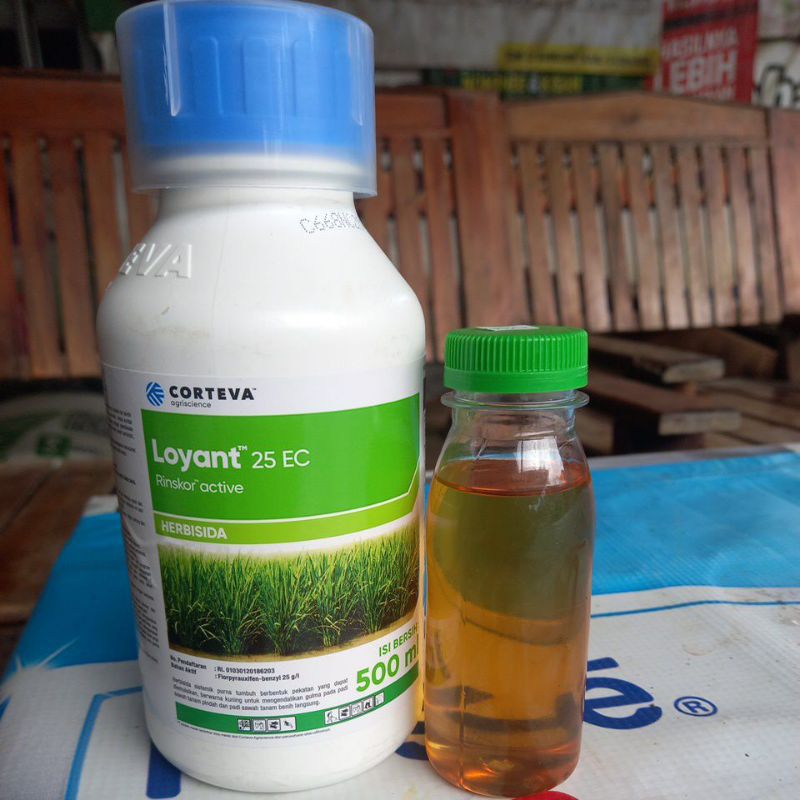 Herbisida Loyant 100 ml