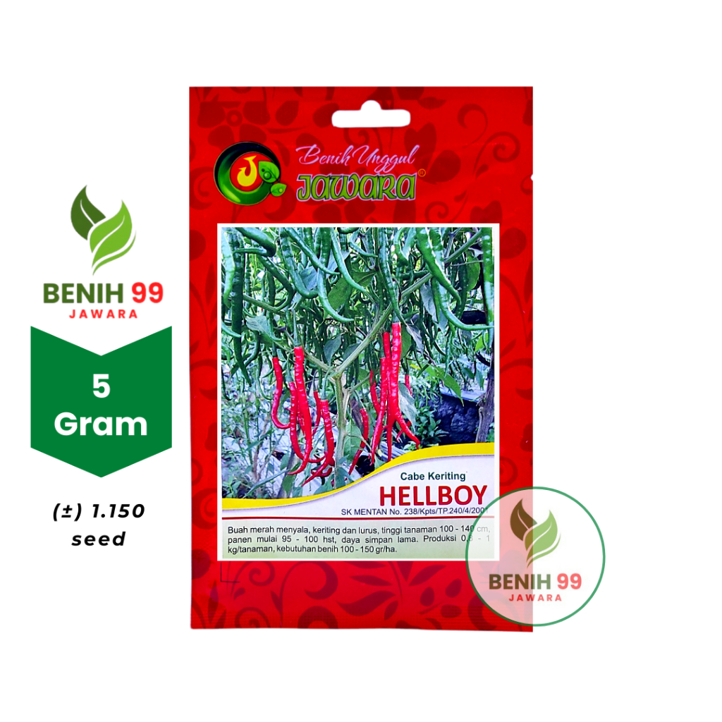 Benih cabe keriting HELLBOY JAWARA