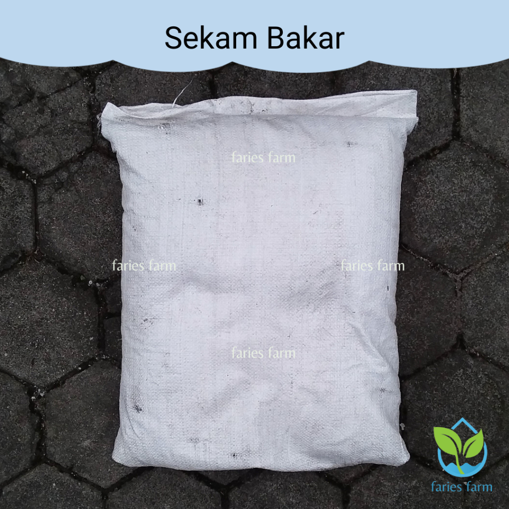Sekam Bakar Murni Karungan Arang Sekam Media Tanam Ukuran Karung