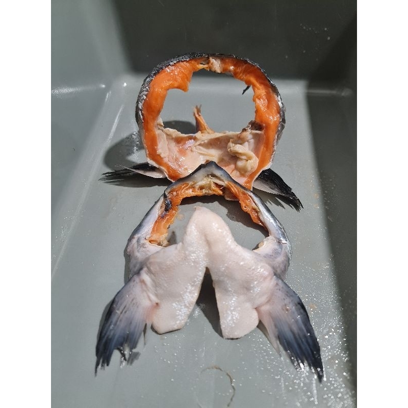 

Rahang Salmon / Kama/ Onggok/ Leher Salmon