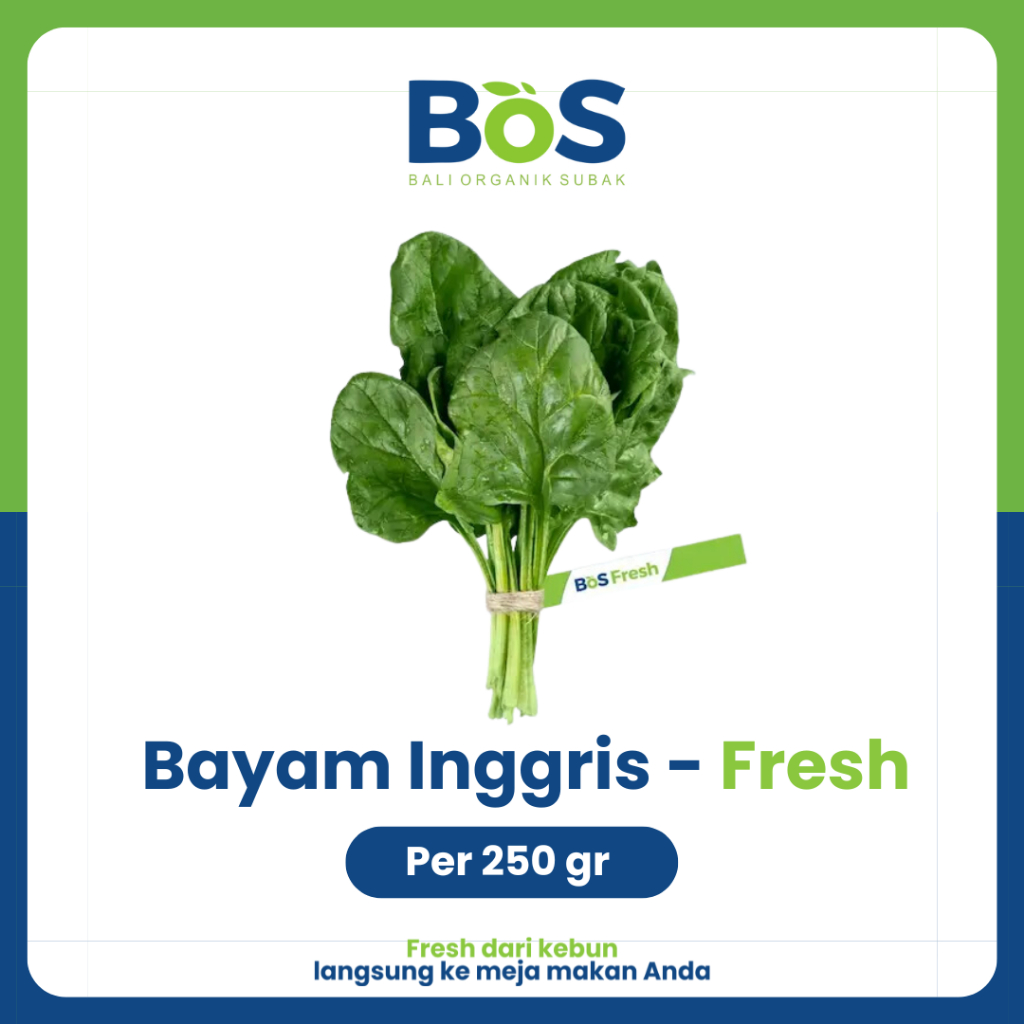 

Bayam Inggris per 250gr - Bos Fresh
