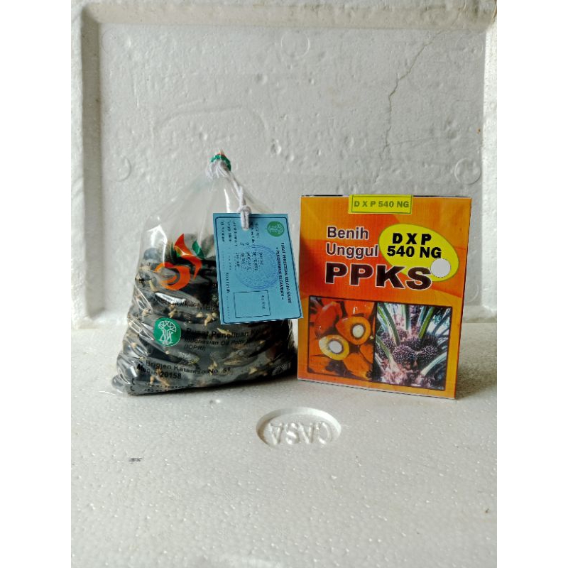 bibit sawit ppks 540 medan
