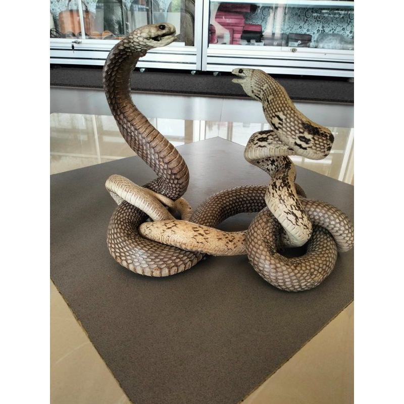 patung ular cobra dobel tarung