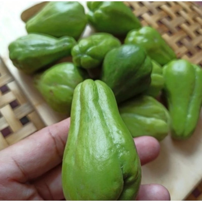

Manisah Baby Manisa Acar Fresh