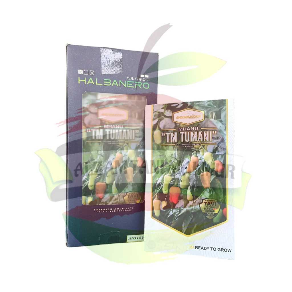 Benih Cabai Rawit Putih MHANU TM TUMANI isi 10 Gram HALBANERO