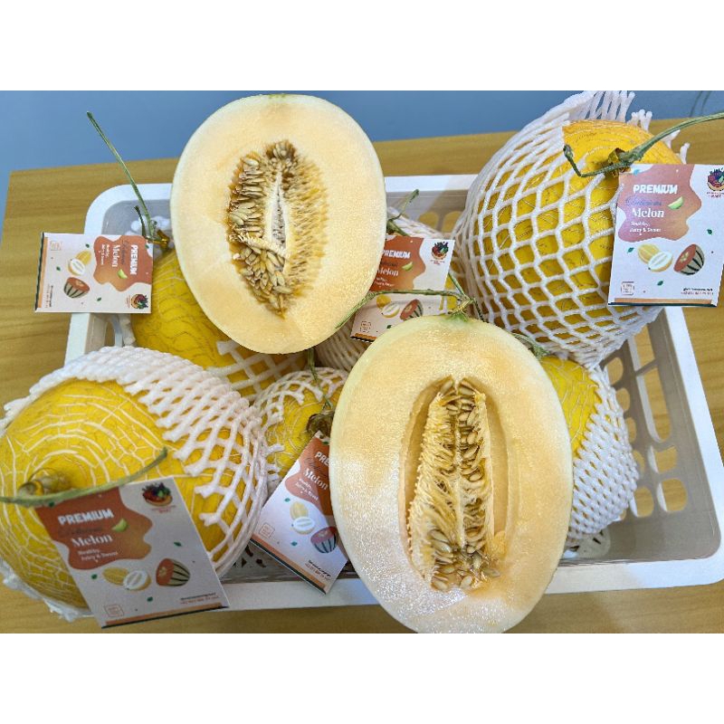 

Melon Monalisa / Melon Premium / Melon Hidroponik / Melon Organik