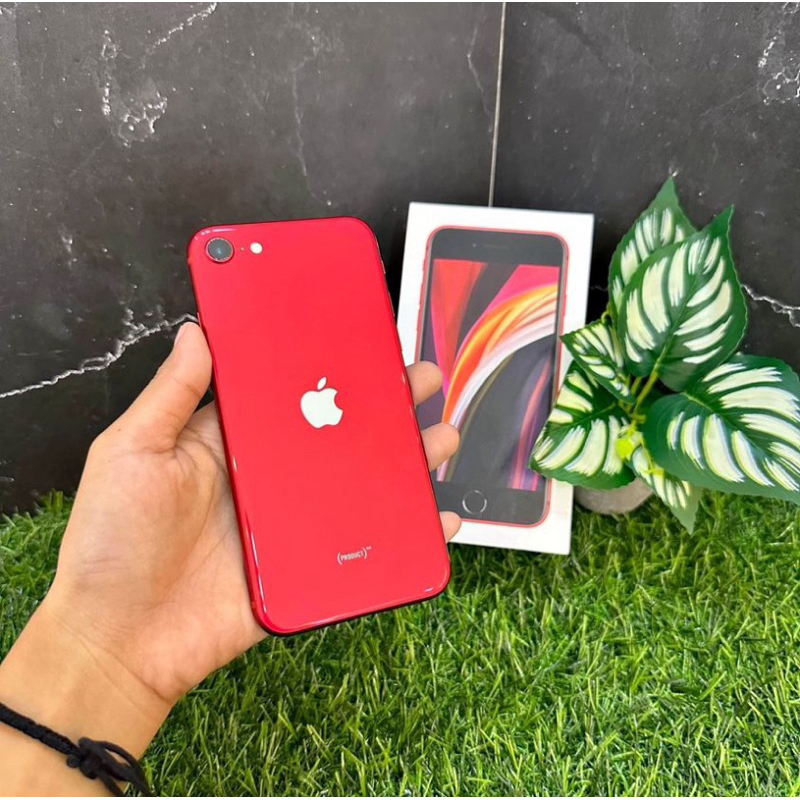 iPhone SE 2020 iBox Resmi Oryginal PA/A