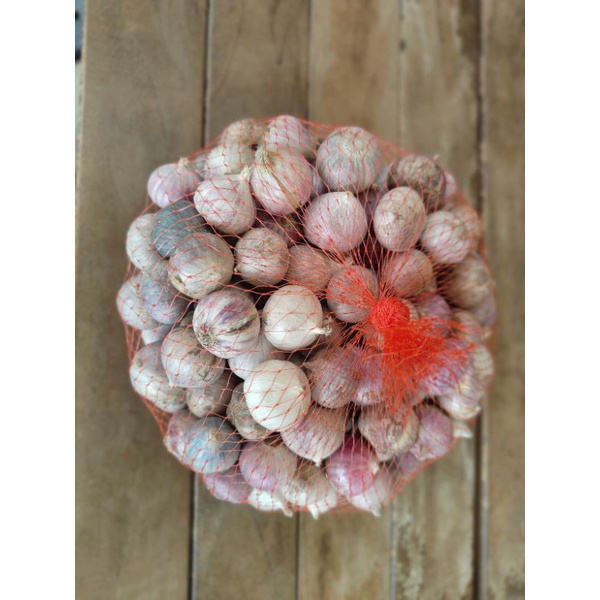 

Termurah Bawang Putih Tunggal fresh 1kg