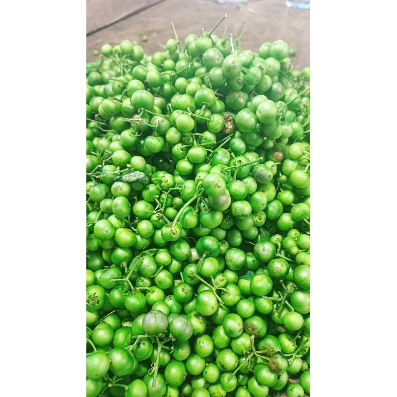 

Sayur Lenca Leunca Pelengkap Sambal Pontianak