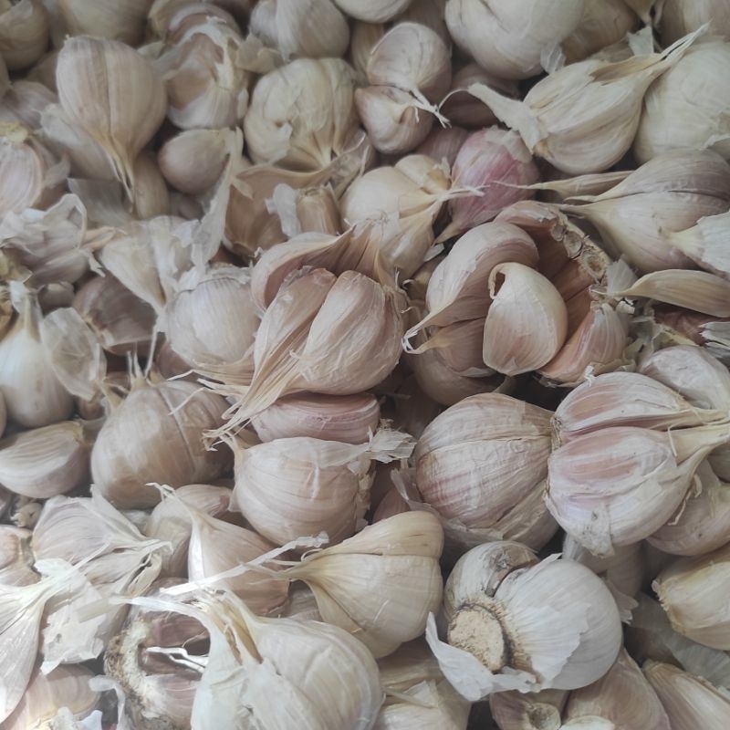 

Bawang Putih Kating 250 Gram