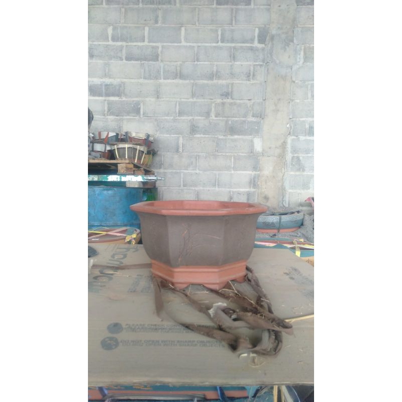 pot keramik bonsai china import segi 8