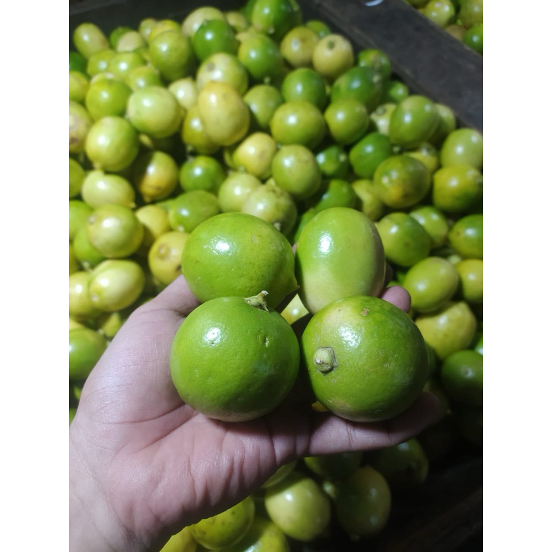 

LEMON 1KG