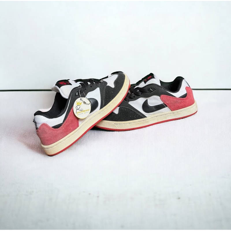 NIKE SB ALLEYOOP