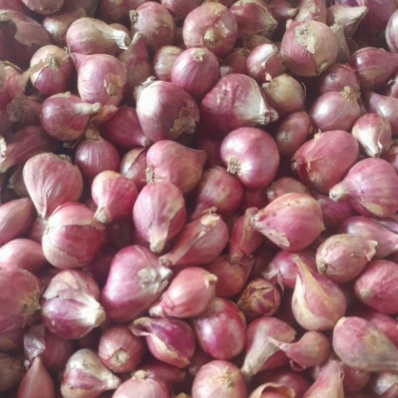 

bawang merah brebes