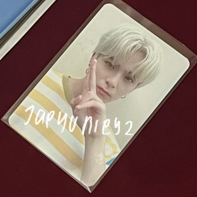 asahi lebah asahi photocard
