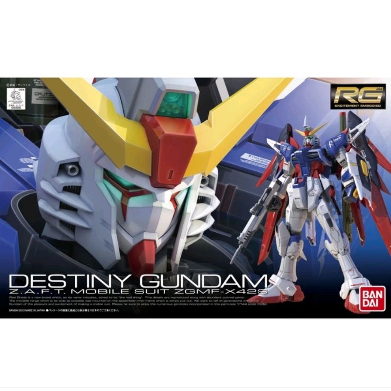 RG DESTINY GUNDAM.  -2ND