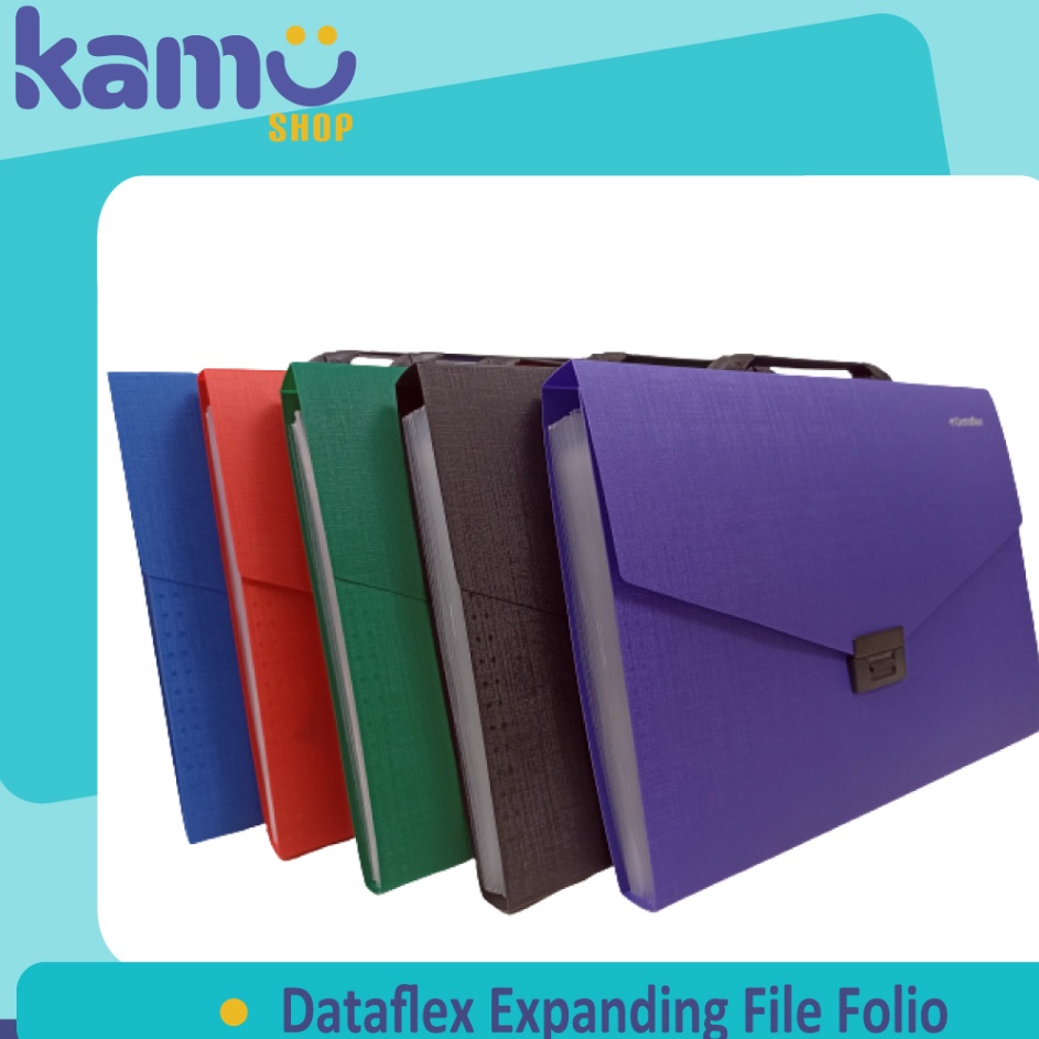 

Dataflex Expanding File Folio DF 231