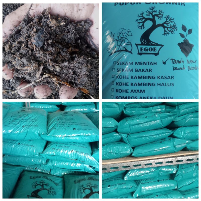 Media Tanam Tanah Humus Bawah Pohon Bambu